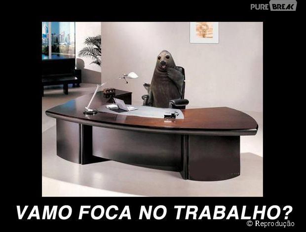 Estagi&aacute;rios do Purebreak adoram falar sobre BBB 15