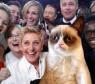 tem espaço para todos os memes da internet na foto do Oscar, até para esse gato