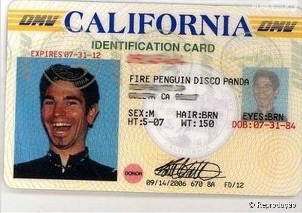 Fire Penguin Disco Panda, só podia ser da Califórnia...