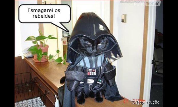<p>Cat Vader, a vers&atilde;o felina do Darth Vader</p>