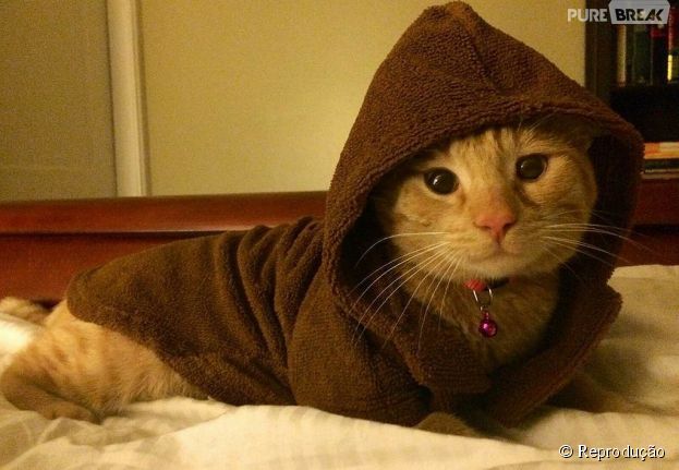 <p>Os donos desse gatinho decidiram colocar uma capa igual dos Jedis de "Star Wars". S&oacute; falta o sabre de luz</p>