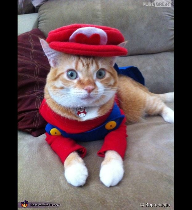 <p>At&eacute; o Mario virou fantasia para o animal de estima&ccedil;&atilde;o</p>