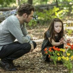 Séries "The Vampire Diaries" e "The Originals" podem ganhar novo spin-off!