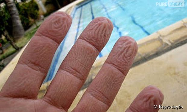 Por que nossos dedos enrugam quando ficamos muito tempo na água?