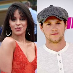 Camila Cabello chorou quando conheceu o One Direction, afirma Niall Horan: "Estava pirando"