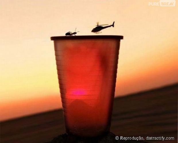 Quem ganha essa batalha: a formiga ou o helicóptero?
