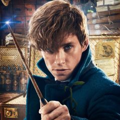 Personagem de "Harry Potter" vai aparecer no filme "Animais Fantásticos e Onde Habitam 2"