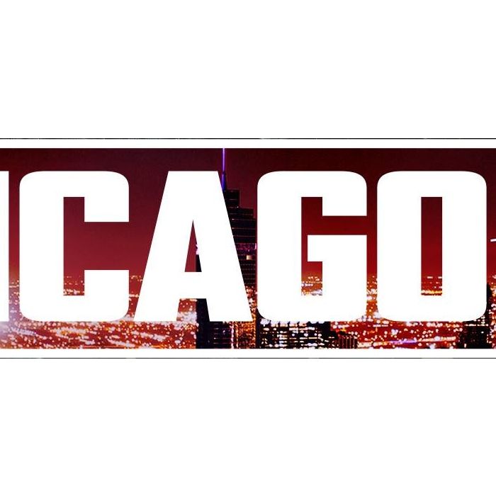 &quot;Chicago PD&quot; tem estreia prevista para o início de 2014 e terá o filho de Clint Eastwood, o gato Scott Eastwood