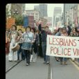 Dia Nacional da Visibilidade Lésbica  foi escolhido no dia 29 de agosto do ano  de 1966, durante o 1º Seminário Nacional de Lésbicas (Senale), pelo COLERJ 