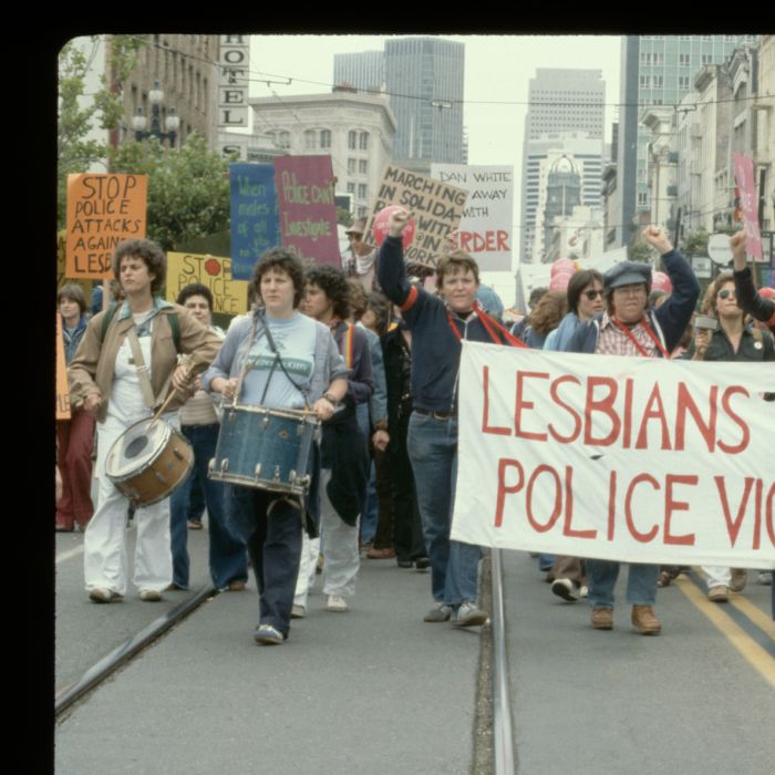 Dia Nacional da Visibilidade Lésbica  foi escolhido no dia 29 de agosto do ano  de 1966, durante o 1º Seminário Nacional de Lésbicas (Senale), pelo COLERJ 