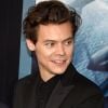 Podemos esperar grandes atuações em "Don't Worry Darling", já que Harry Styles fez um ótimo papel em seu primeiro longa como ator em "Dunkirk"