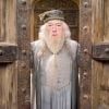 "Harry Potter": a história de Dumbledore é um pouco mais explicada ao longo dos livros