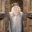 "Harry Potter": a história de Dumbledore é um pouco mais explicada ao longo dos livros