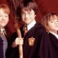  Morte de Dumbledore e mais: 6 perguntas que os filmes de "Harry Potter" não explicam 