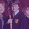 Morte de Dumbledore e mais: 6 perguntas que os filmes de "Harry Potter" não explicam
