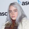 Billie Eilish já teve cabelo cinza, quase branco, no início da carreira