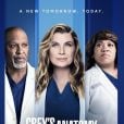 'Grey's Anatomy': poster de divulgação da 18 ª temporada   