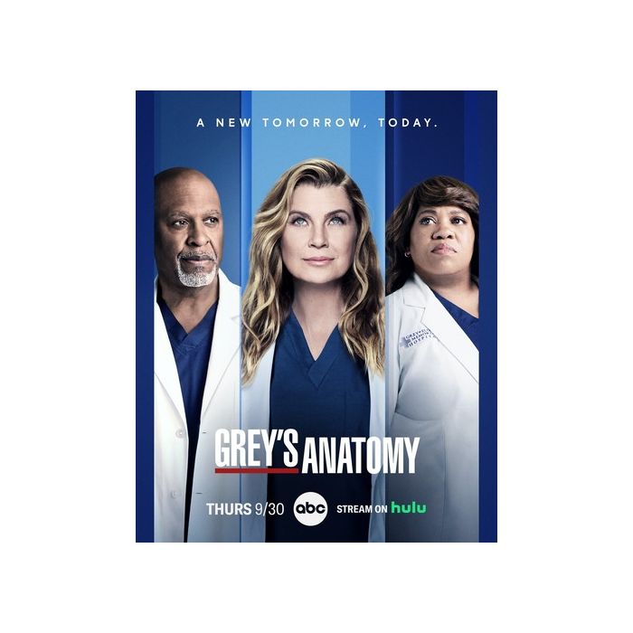 &#039;Grey&#039;s Anatomy&#039;: poster de divulgação da 18 ª temporada   