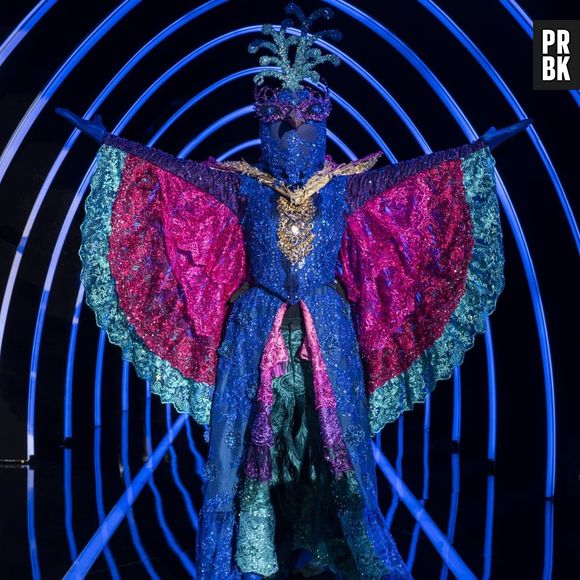 "The Masked Singer Brasil": Pavão é anunciado e engajamento do público aponta que surgiu um favorito