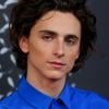 Timothée Chalamet já foi nomeado ao Oscar e com certeza arrasaria na Marvel