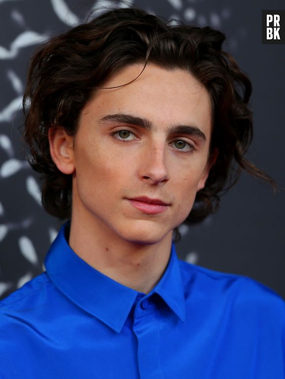 Timothée Chalamet já foi nomeado ao Oscar e com certeza arrasaria na Marvel