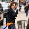 Timothée Chalamet já disse que acompanha os filmes da Marvel e é fã do universo 