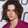 Timothée Chalamet na Marvel: 6 personagens que são a cara do ator