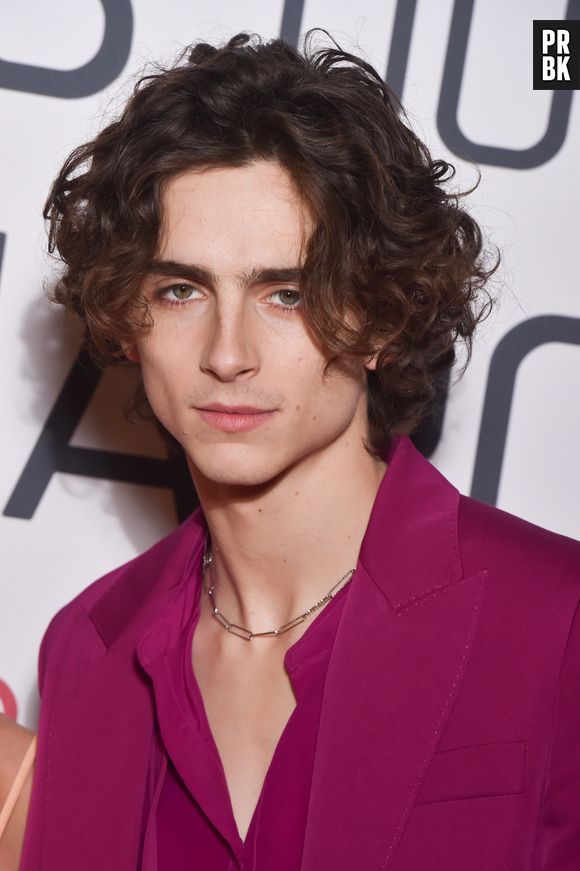 Timothée Chalamet na Marvel: 6 personagens que são a cara do ator