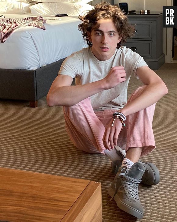 Depois de Harry Styles, Timothée Chalamet poderá ser a próxima estrela no MCU?