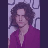 6 personagens que queremos ver Timothée Chalamet interpretar na Marvel