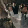   Em novo teaser de "Animais Fantásticos: Os Segredos de Dumbledore", Dumbledore (Jude Law) afirma ter concordado em remodular o mundo com Grindelwald (Mads Mikkelsen) porque estava apaixonado pelo vilão  