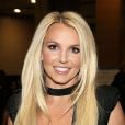 " Britney não está se pressionando para lançar um álbum imediatamente ou algo assim, mas sua equipe está colocando antenas sobre a perspectiva de novas músicas", conta fonte 