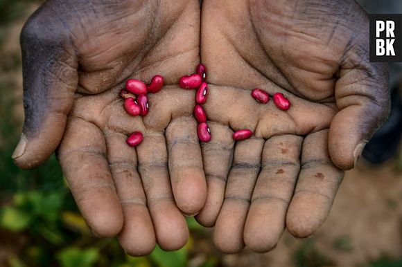 Fome no Brasil: 6 em cada 10 famílias não têm acesso pleno a alimentos