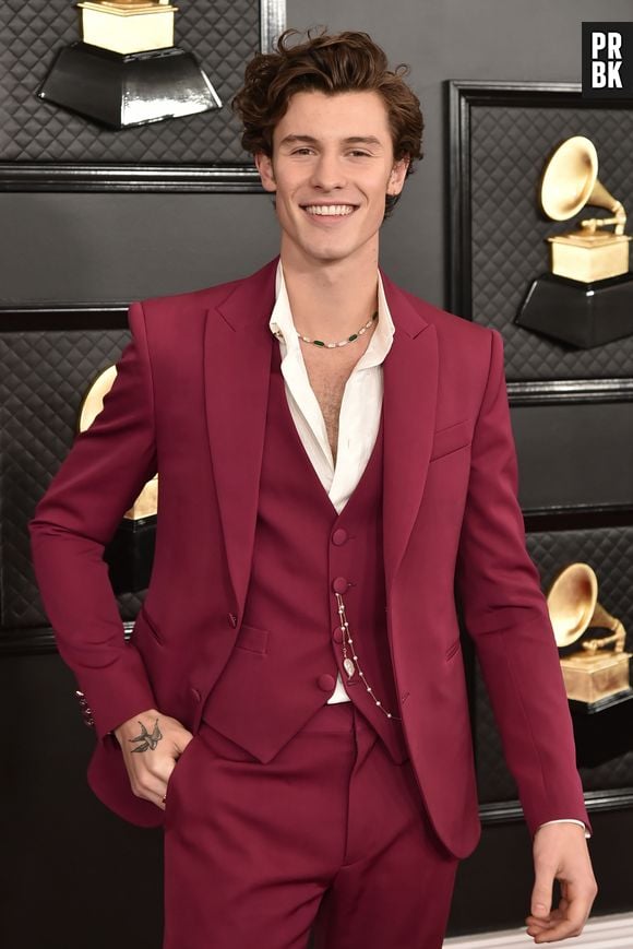 Será que você é ume verdadeire fã do Shawn Mendes? Faça o quiz para descobrir se você consegue acertar estas músicas por um trecho