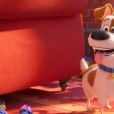 Dia Mundial do Cachorro: em "Pets - A Vida Secreta dos Bichos", Max é um cãozinho inteligente e corajoso que conquistou o carinho do público