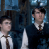 Os filmes de "Harry Potter" não mostram o destino de Franco e Alice Longbottom, pais de Neville (Matthew Lewis), que enloqueceram 