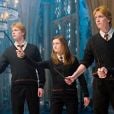 Carlinhos Weasley não teve destaque nos filmes da saga "Harry Potter"