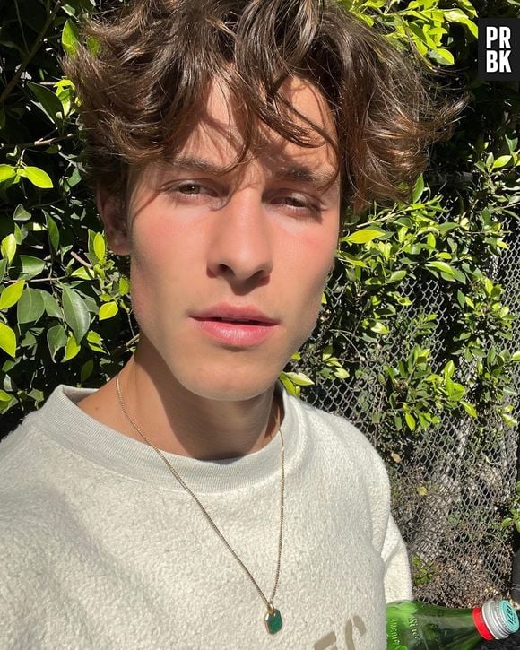 Shawn Mendes diz que não está namorando com Sabrina Carpenter