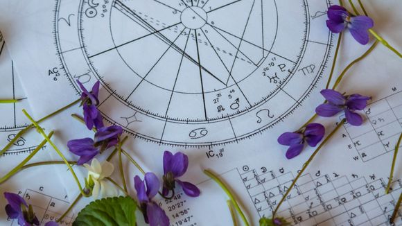 Horóscopo do dia: saiba previsões do seu signo nesta quinta (4)