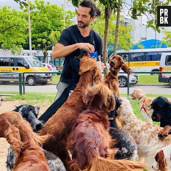 Jeff era apaixonado por seus cachorros, que foram cruciais para descobrir o desaparecimento do ator