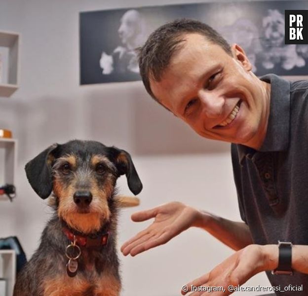 Triste! Morre Estopinha, cachorrinha do Doutor Pet, considerada primeira influencer animal do Brasil