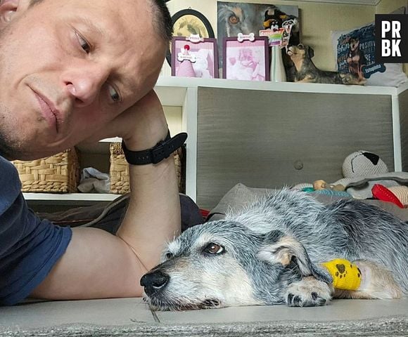 Morre Estopinha, cachorrinha do Doutor Pet, considerada primeira influencer animal do Brasil