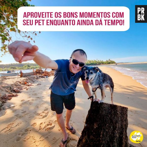 Tristeza! Morre Estopinha, cachorrinha do Doutor Pet, considerada primeira influencer animal do Brasil