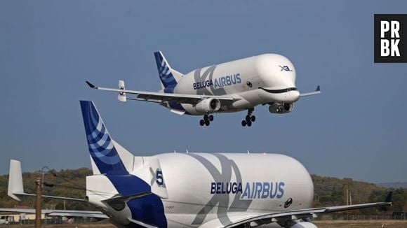 O Beluga XL é um avião gigante em forma de baleia