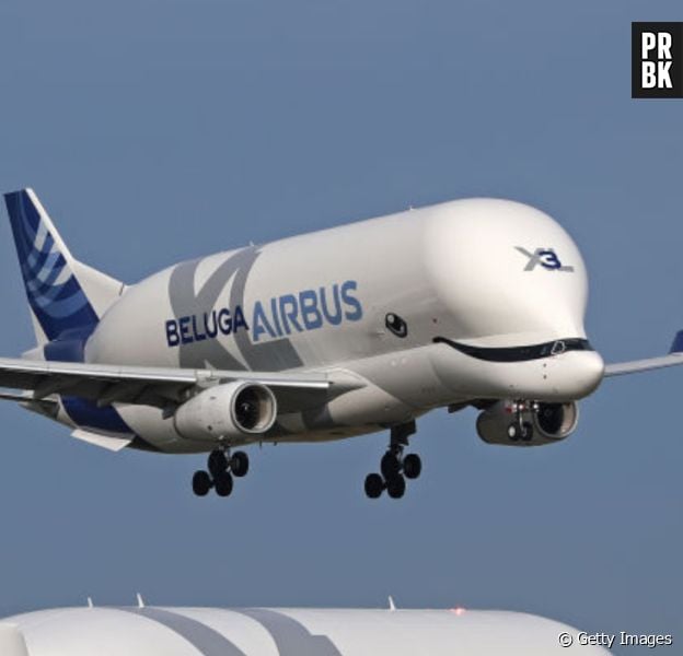 O Beluga XL é um avião gigante em forma de baleia