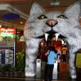  O Museu do gato fica na Malasia e cont&eacute;m acess&oacute;rios e curiosidades sobre a vida do animal 