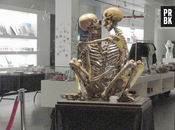 O Museu do sexo (Museum of Sex) conta a história da atividade essencial para a reprodução animal. O local fica em Nova York, Estados Unidos