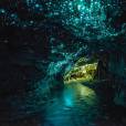  Glowworms Cave, Nova Zelandia. O teto da caverna d&aacute; uma ideia de c&eacute;u estrelado. Surpreendente! 