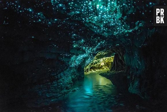 Glowworms Cave, Nova Zelandia. O teto da caverna dá uma ideia de céu estrelado. Surpreendente!