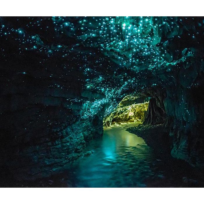  Glowworms Cave, Nova Zelandia. O teto da caverna d&amp;aacute; uma ideia de c&amp;eacute;u estrelado. Surpreendente! 